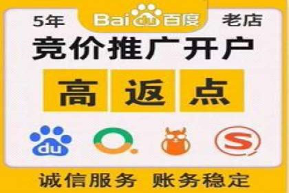 案例研究：百度竞价广告投放效果